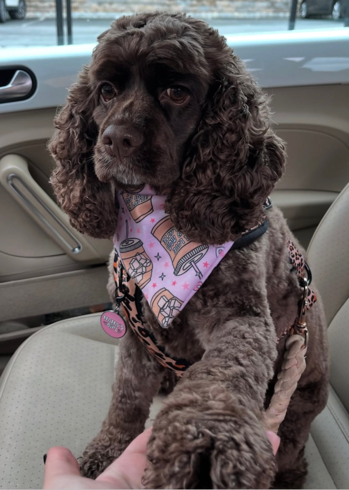 Love Mom a Latte Bandana