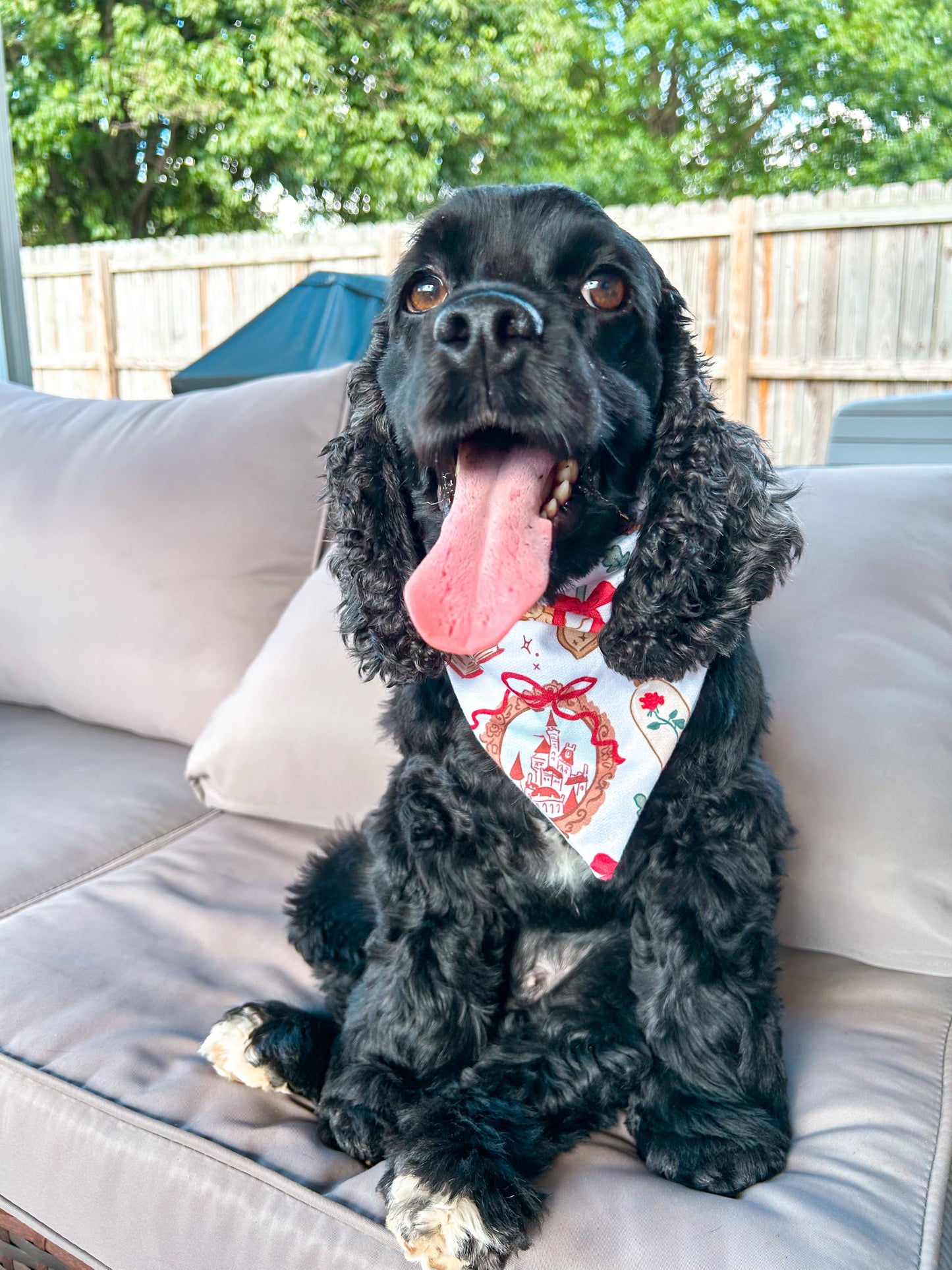 Belle's Book Club Bandana