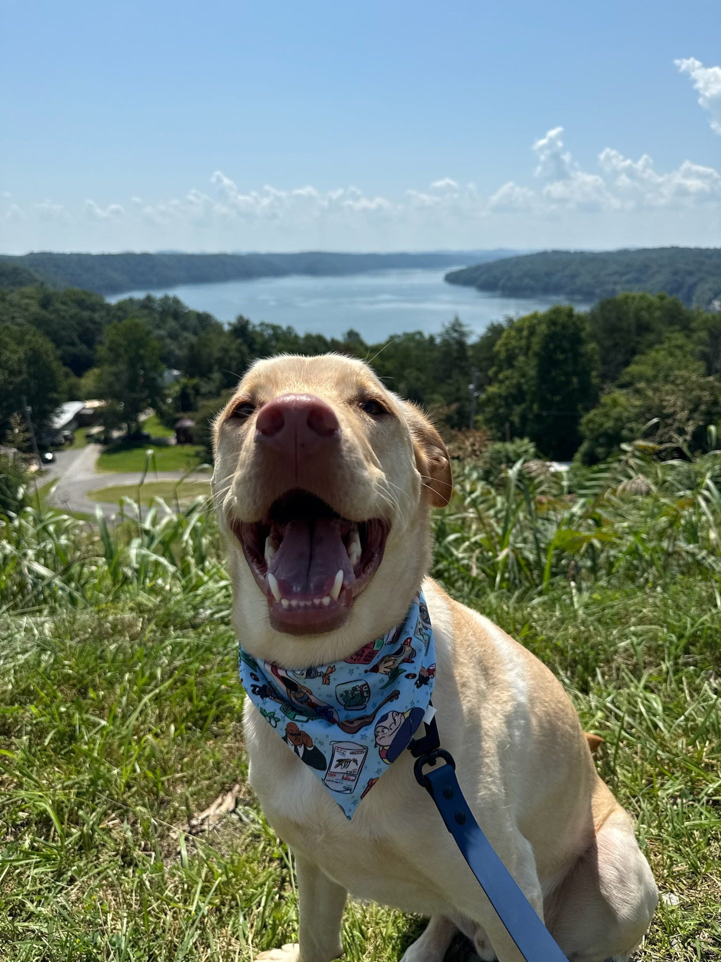 Ohana Bandana