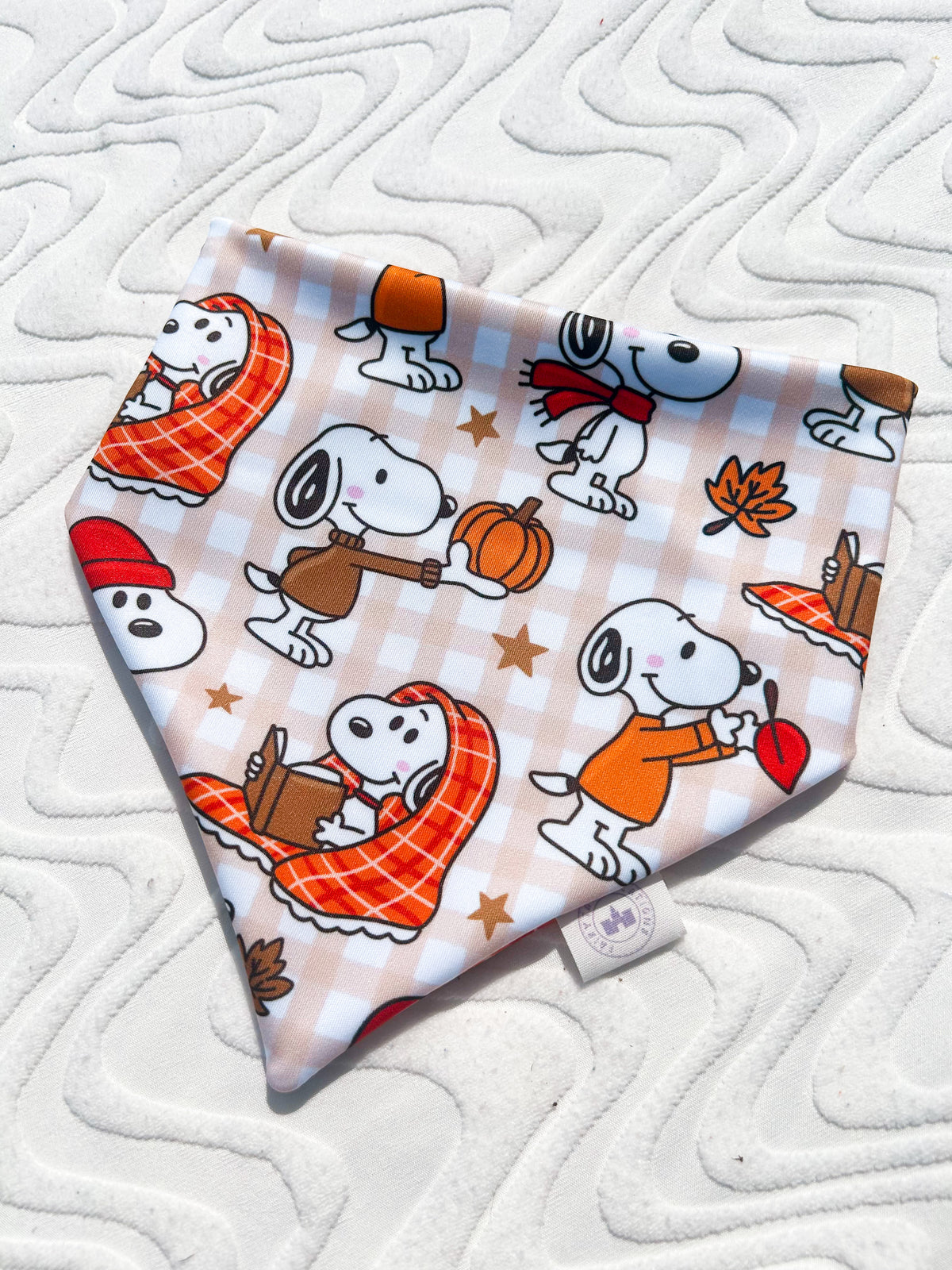 Sweater Weather Bandana