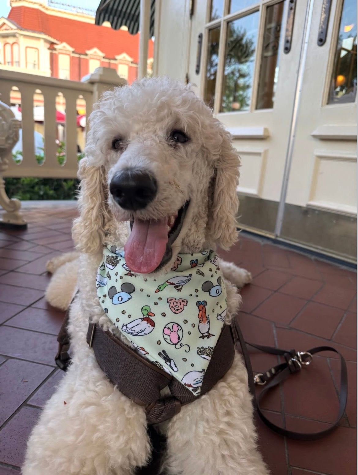 Main Street Ducks Bandana