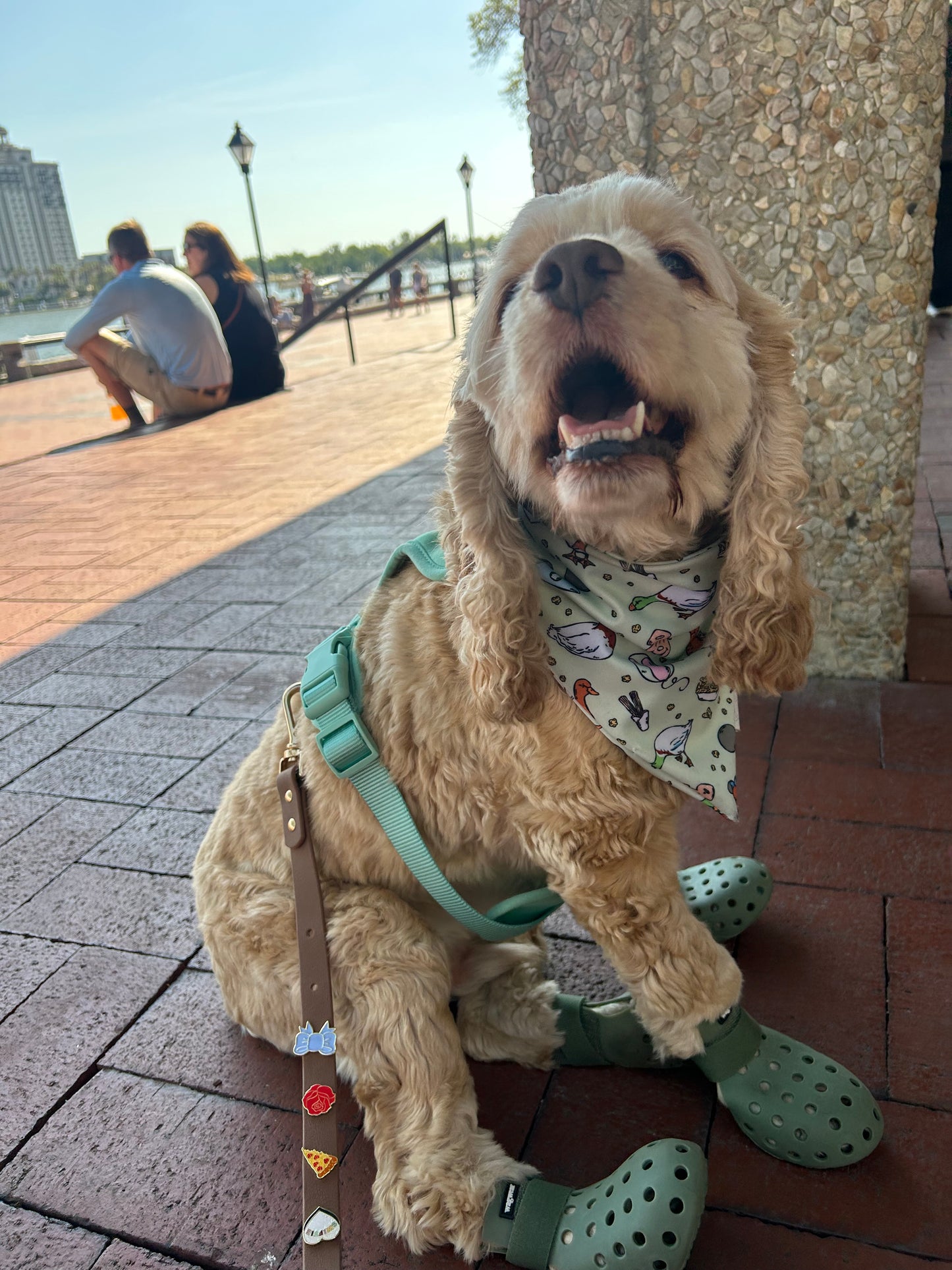 Main Street Ducks Bandana