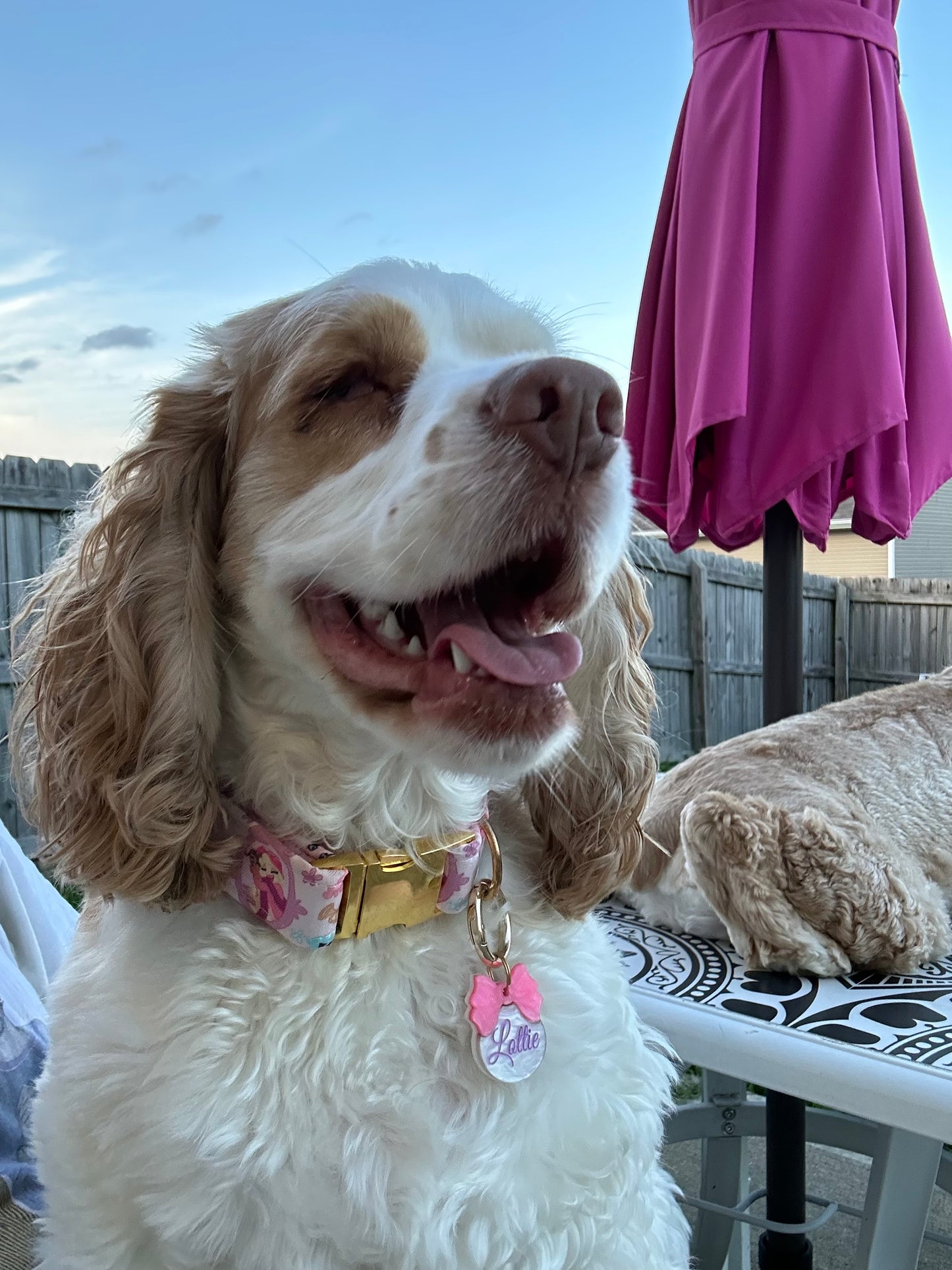 Bayou Besties Collar