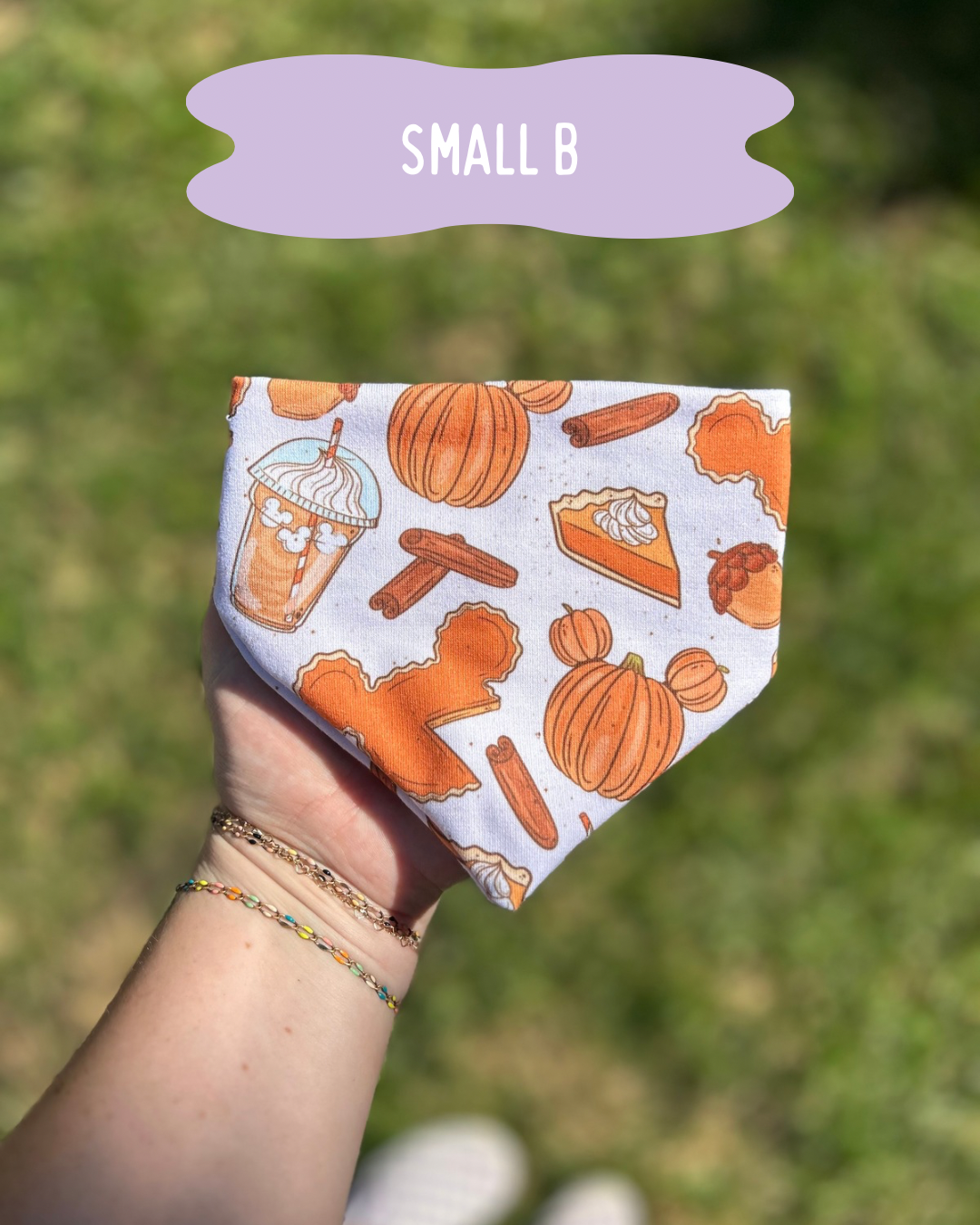 SALE Bandanas
