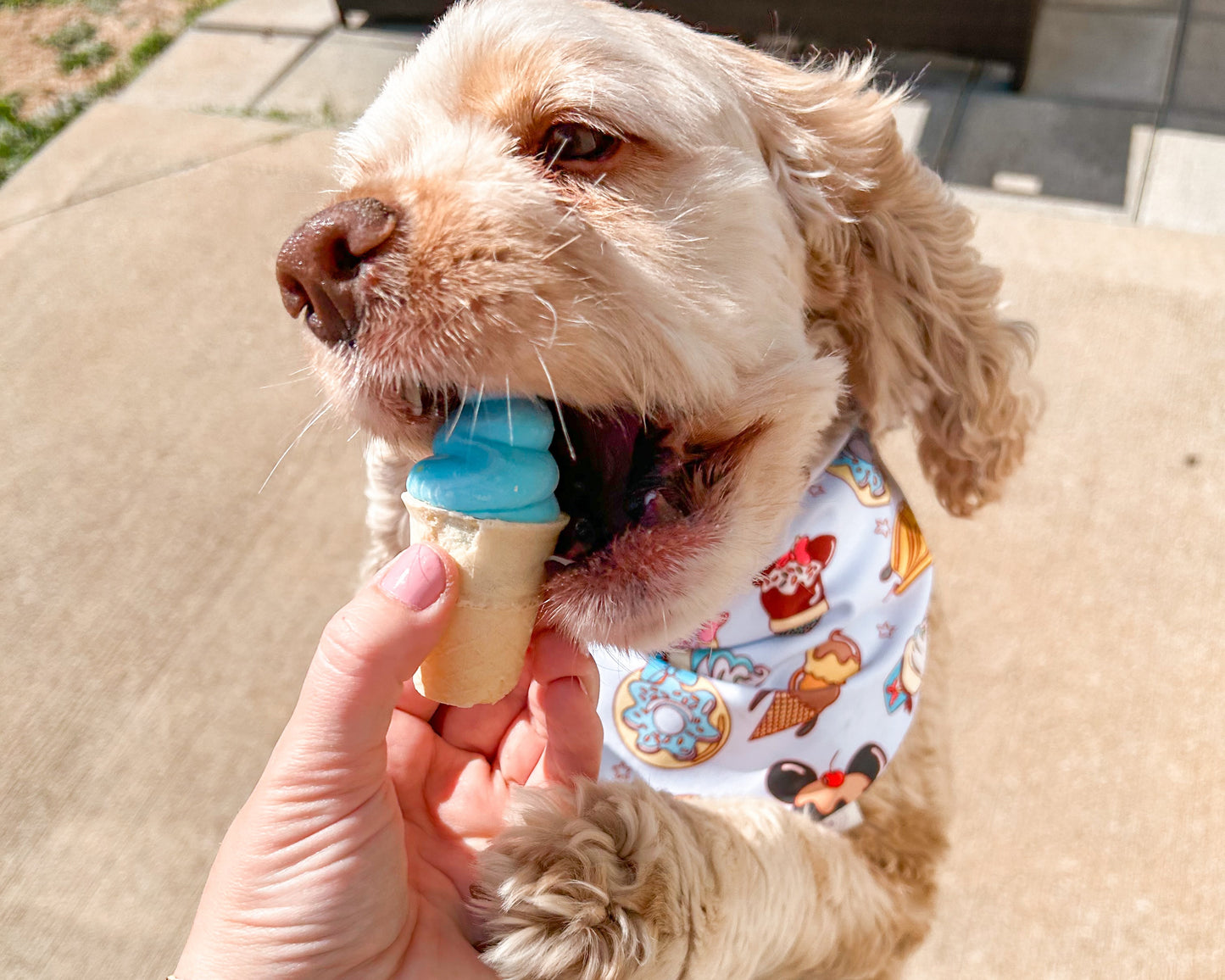 Sweet Treat Summer Bandana