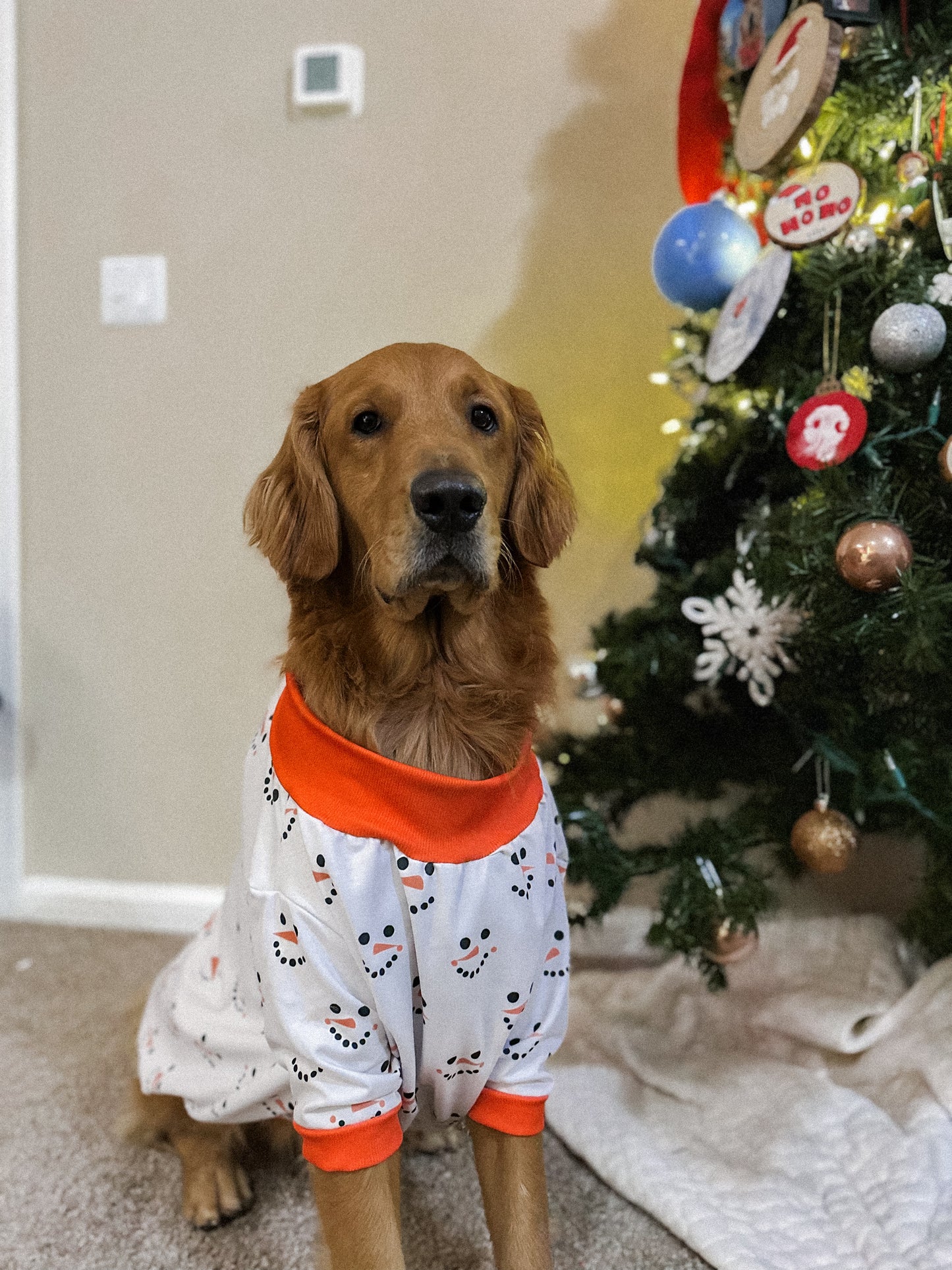 Pet Sweaters
