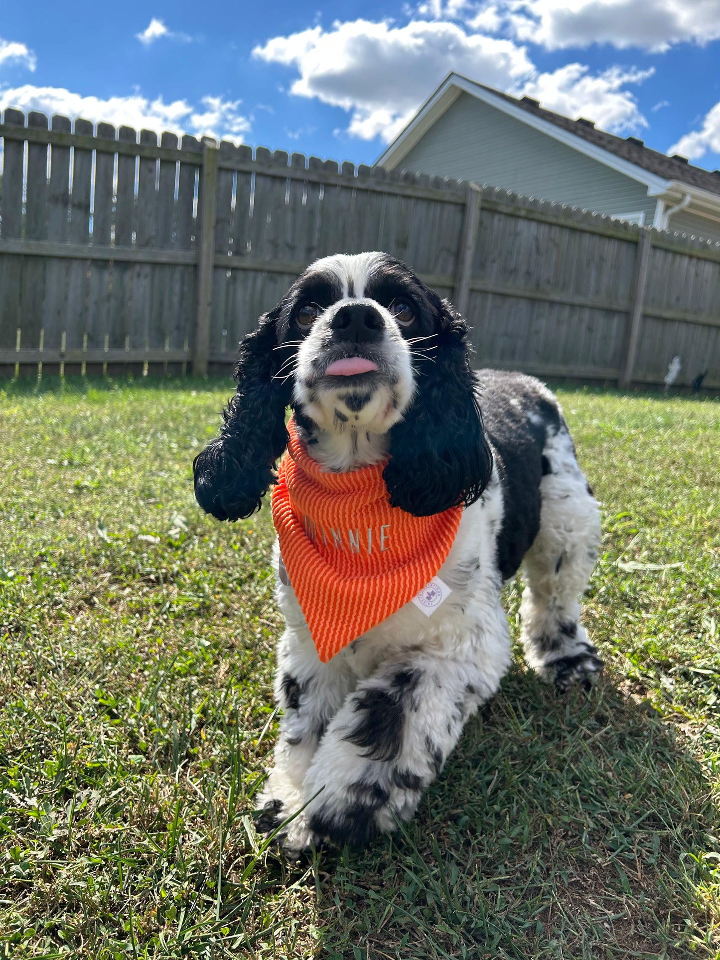 Honey Bandana