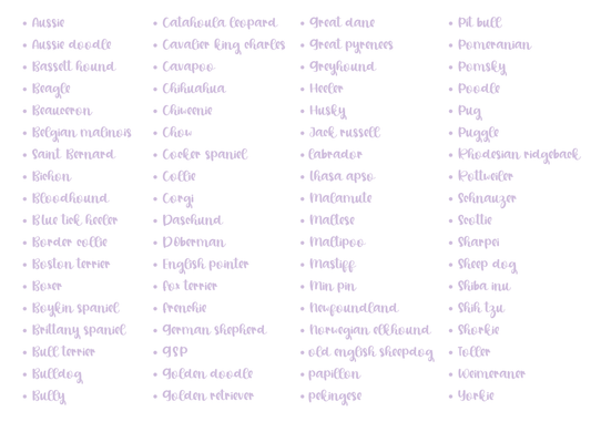 Holiday Dog Crewneck