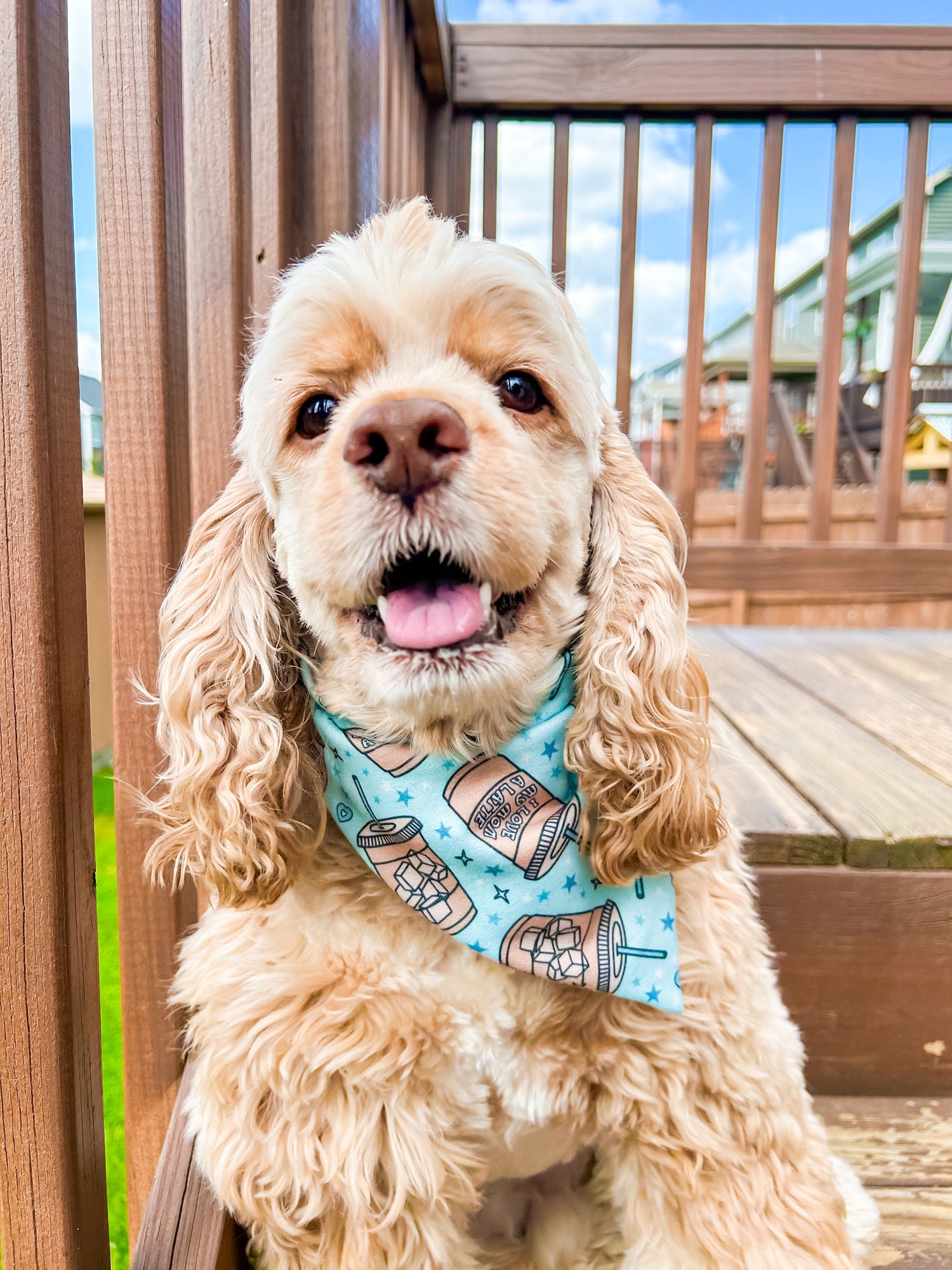 Love Mom a Latte Bandana