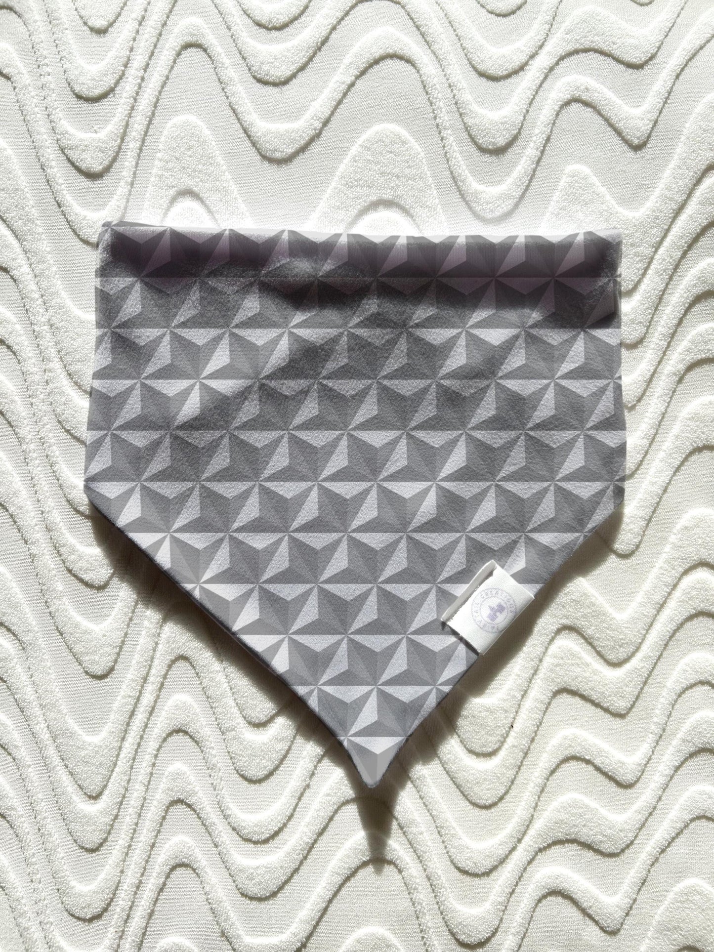 Spaceship Earth Bandana