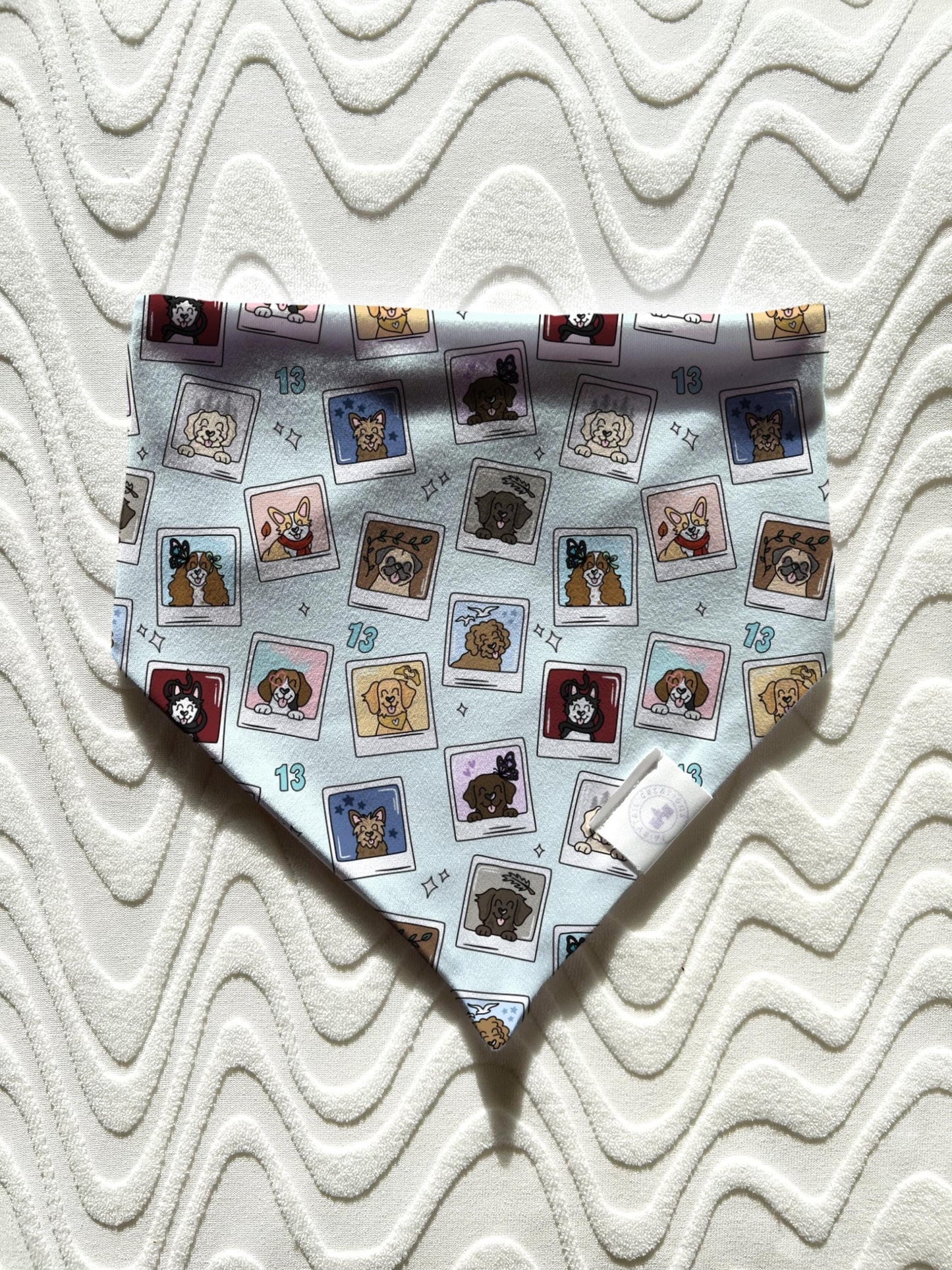 The Eras Pups Bandana