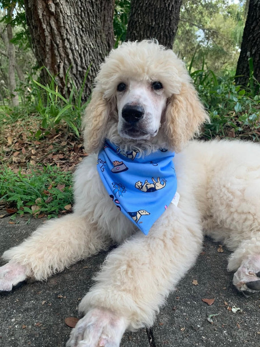 Service Dog Bandana