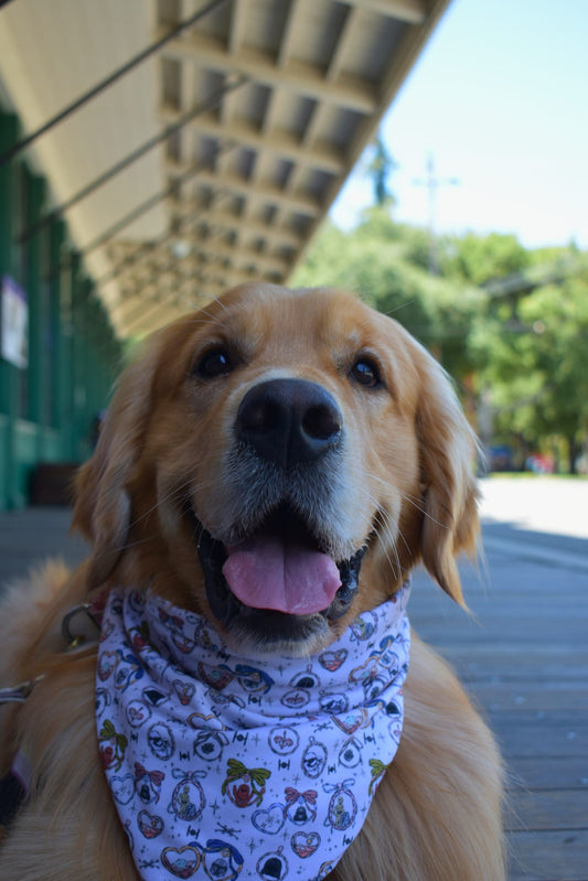 Galactic Charms Bandana
