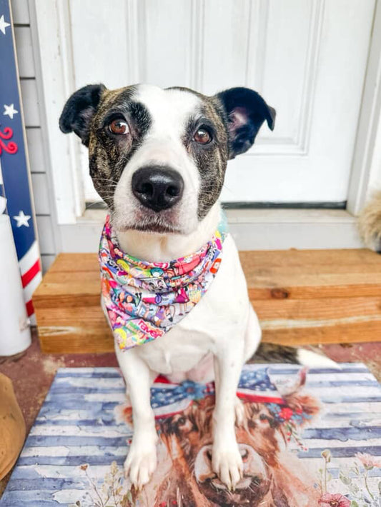 Character Mashup Bandana