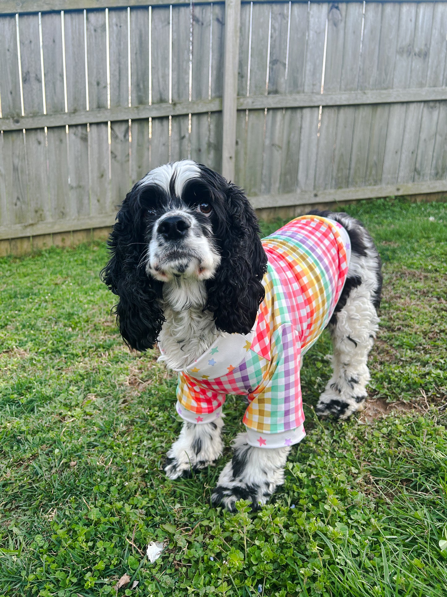 Starry Spring Pet Tee