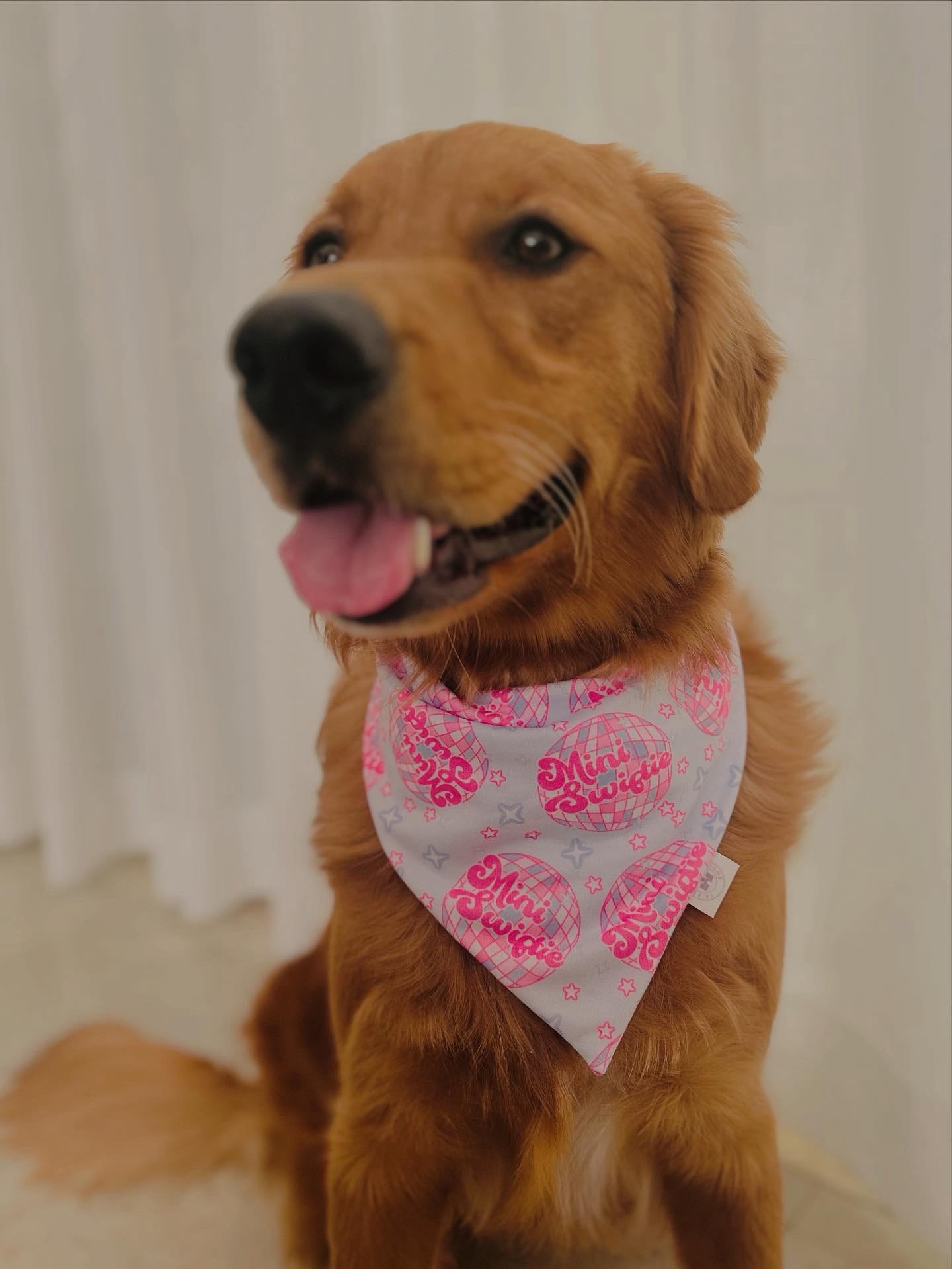 Mini Swiftie Disco Bandana