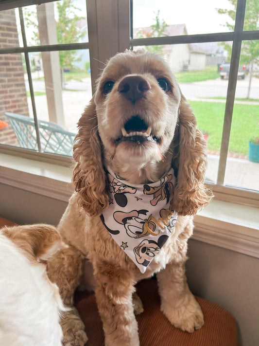 Sensational Six Bandana