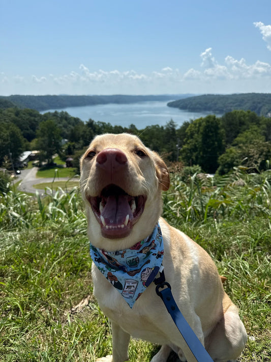 Ohana Bandana