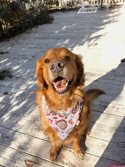 Belle's Book Club Bandana