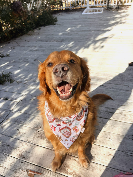 Belle's Book Club Bandana