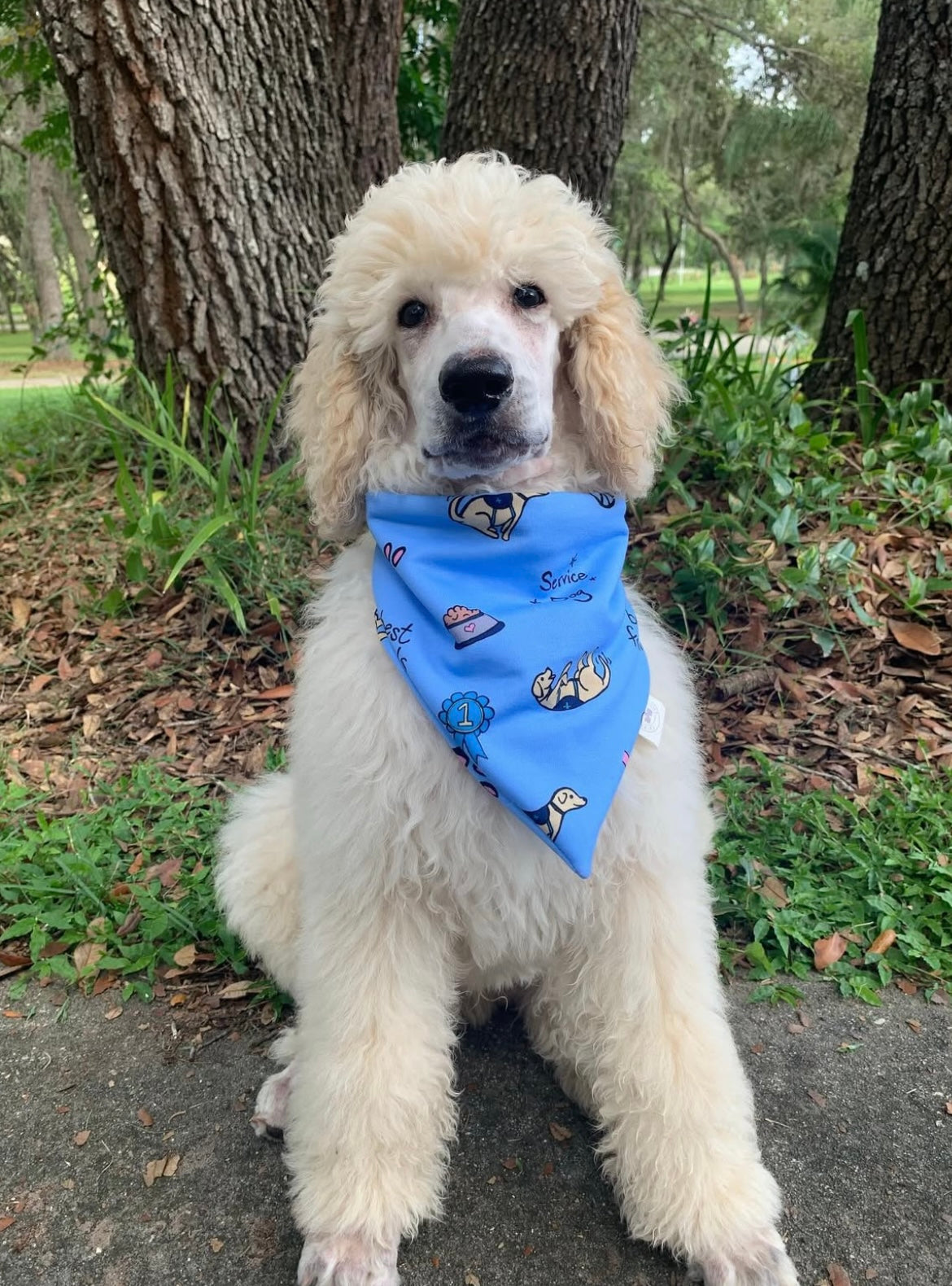 Service Dog Bandana
