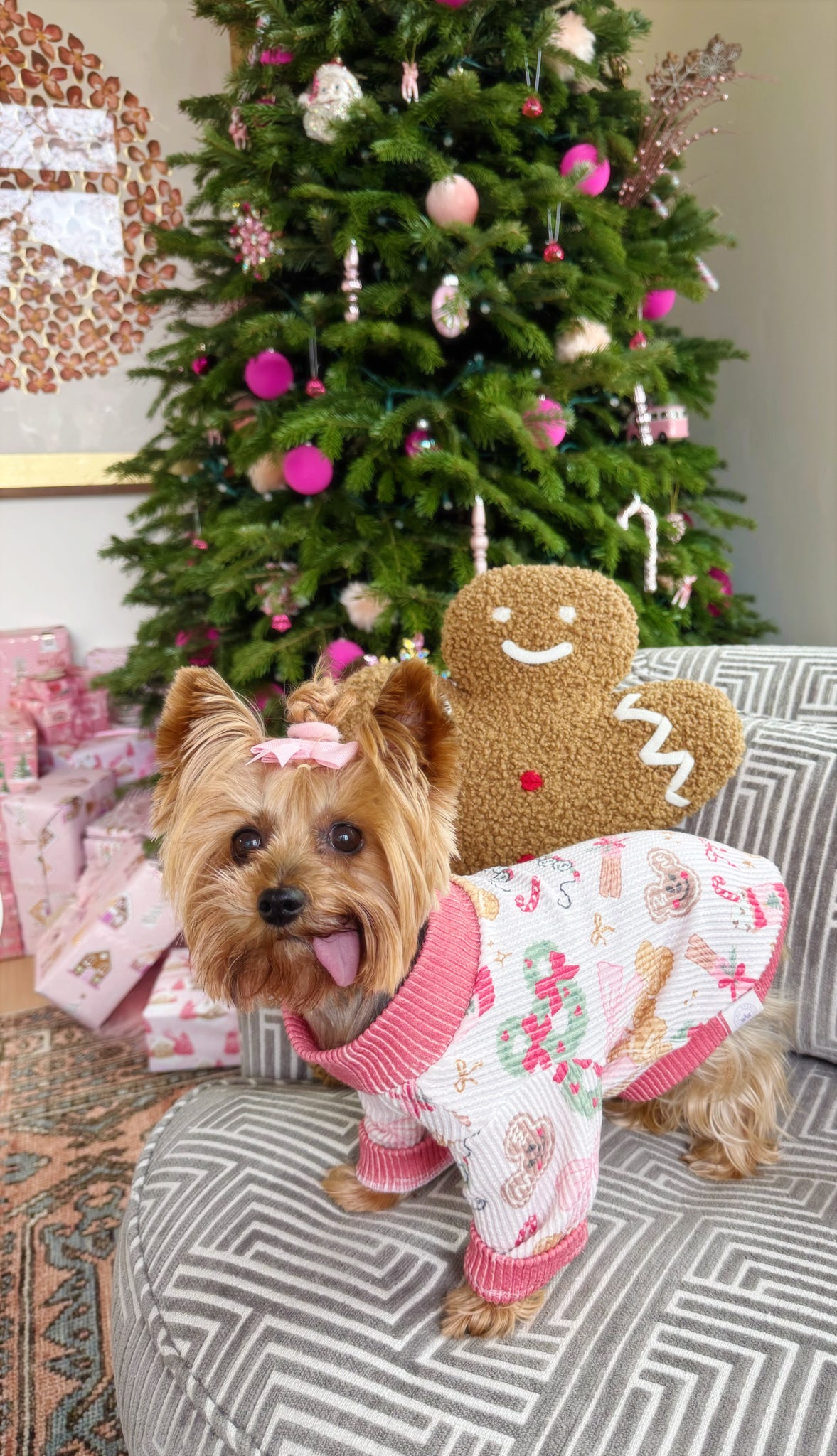 Pet Sweaters