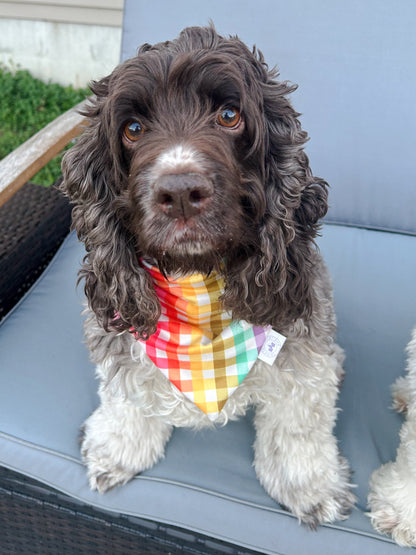 Starry Spring Bandana - Reversible