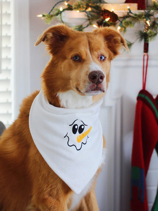 Snowman Bandana