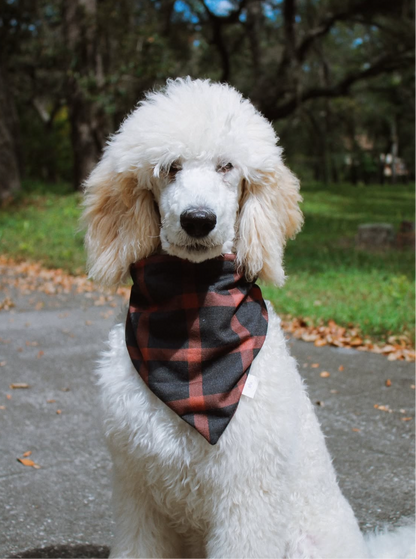 Evermore Bandana