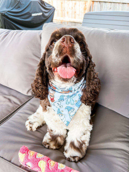Sorcerer Sidekicks Bandana