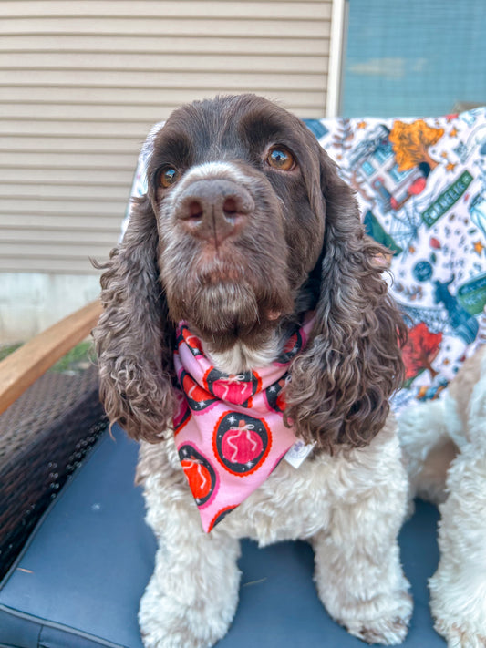 Pretty Pumpkin Bandana