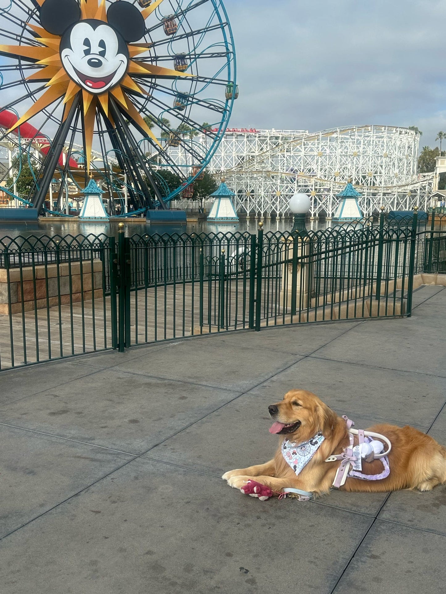Cali Coaster Bandana