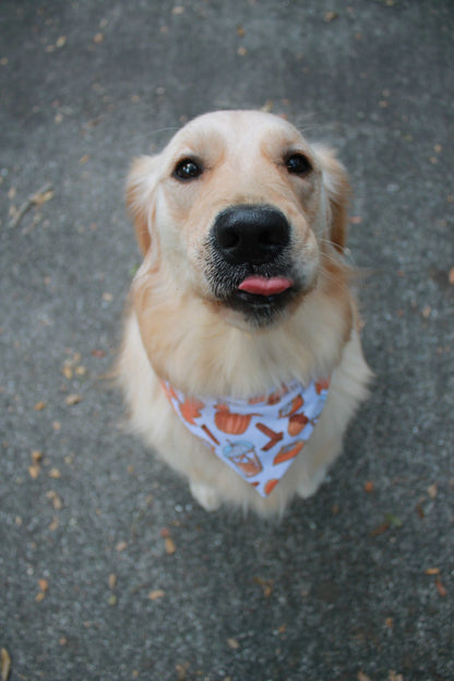 Pumpkin Spice Bandana