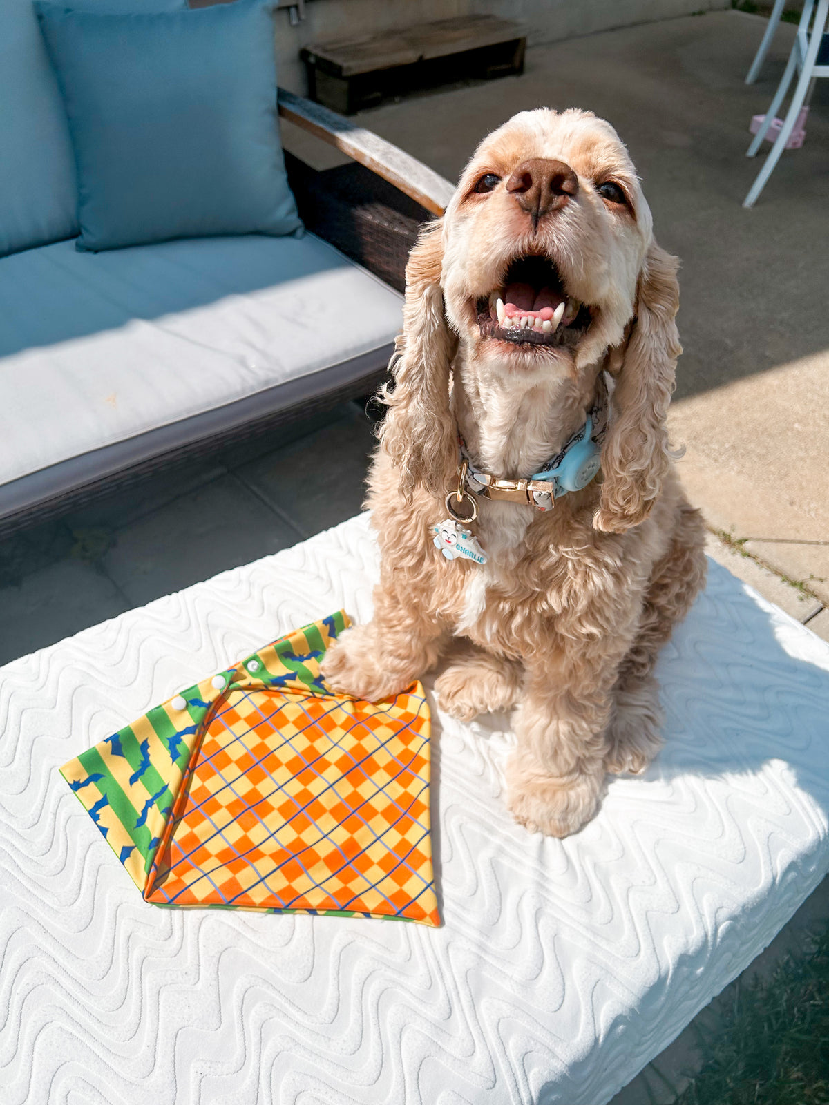 Not So Scary Bandana