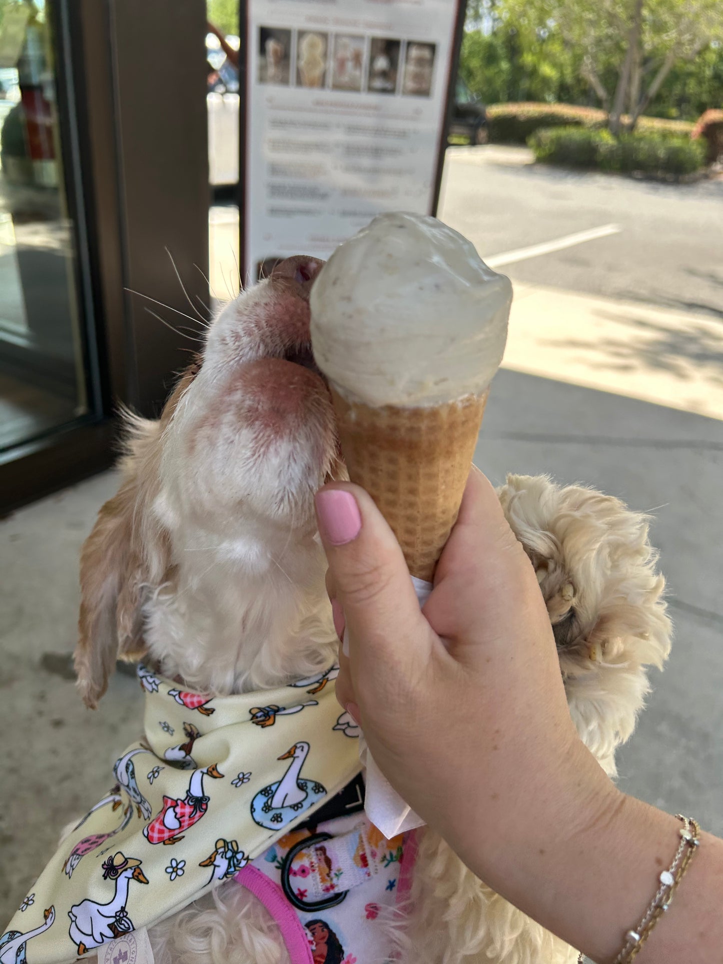 Hot Goose Summer Bandana