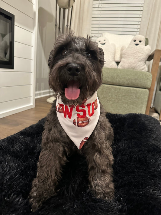 Custom Football Bandana