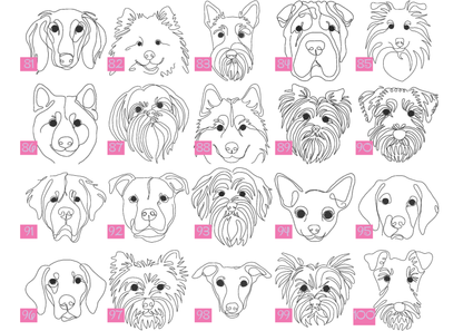 Dog Breed Hats