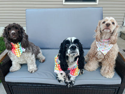 Starry Spring Bandana - Reversible