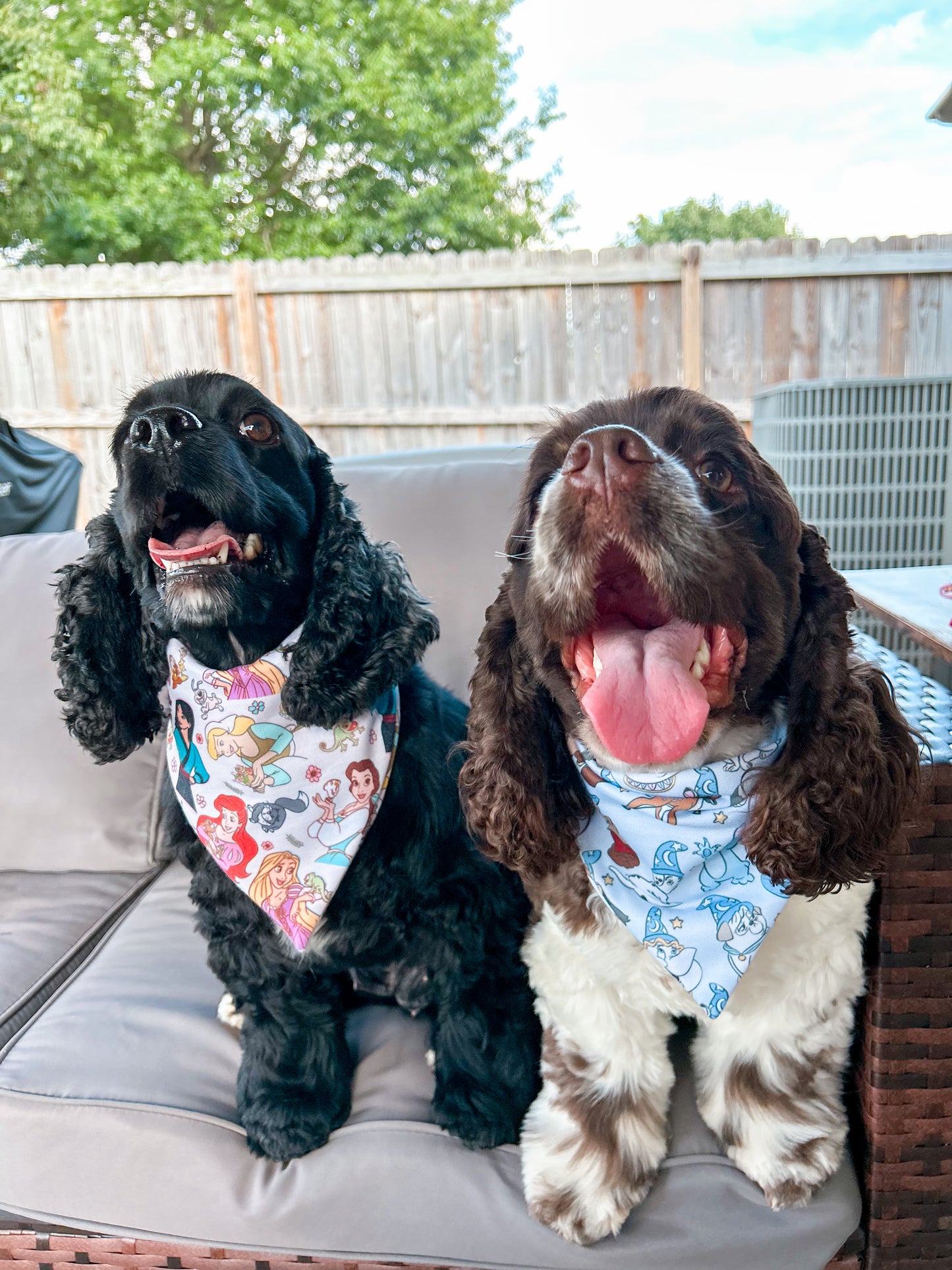 Princesses and Sidekicks Bandana