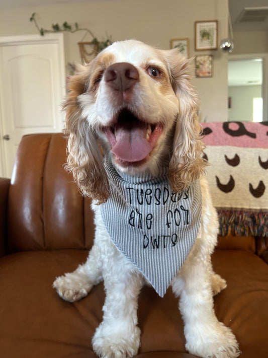 DWTS Bandana