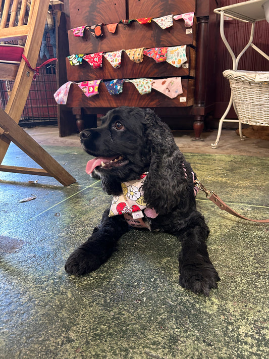 Mouseberry Picnic Bandana