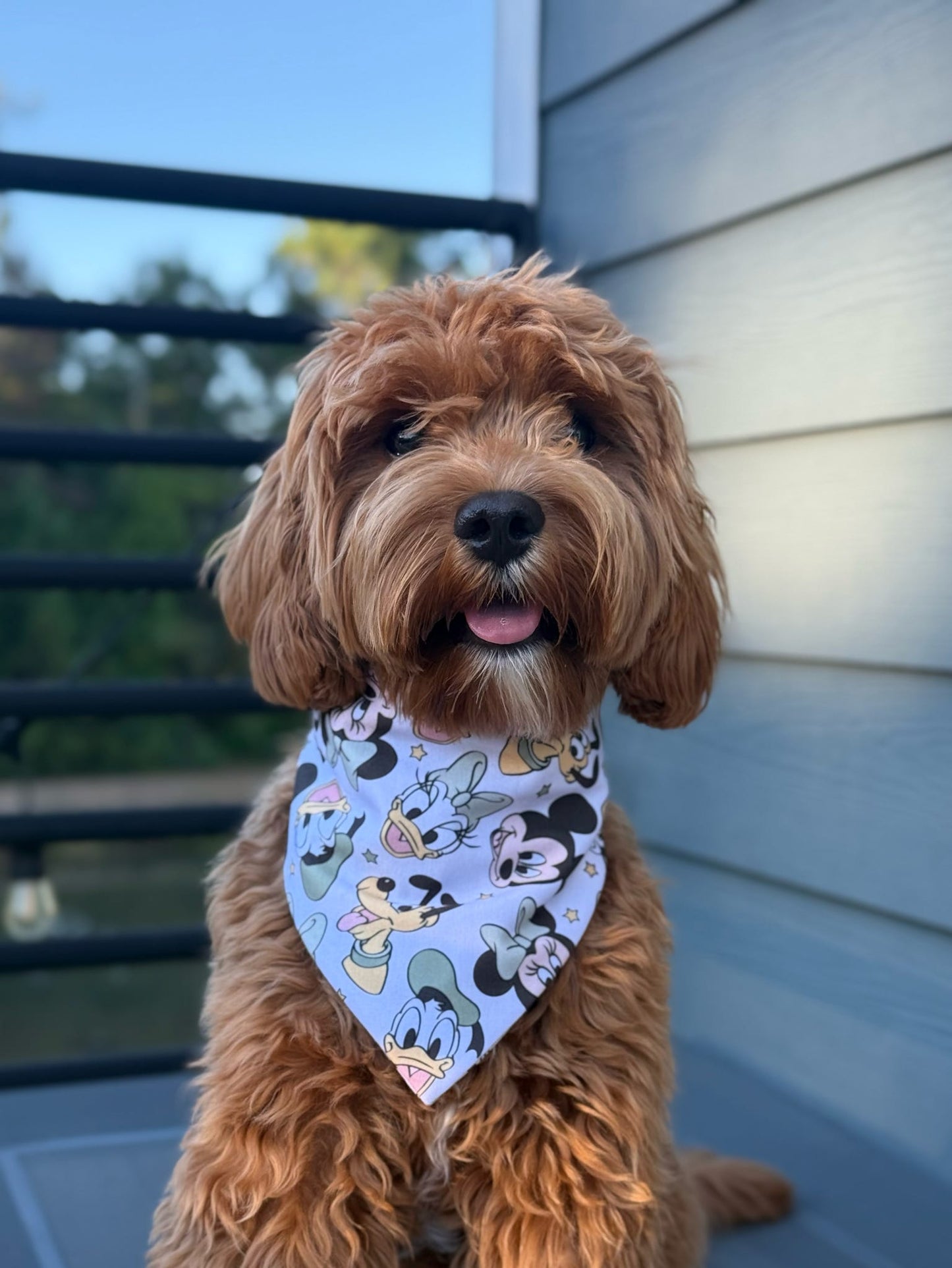 Sage Six Bandana