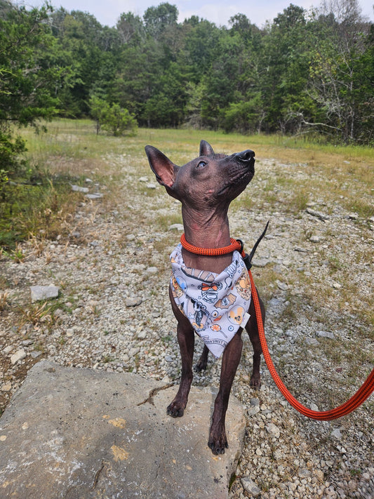 Not so Scary Bandana