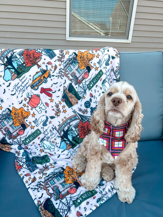 Pumpkin Plaid Bandana