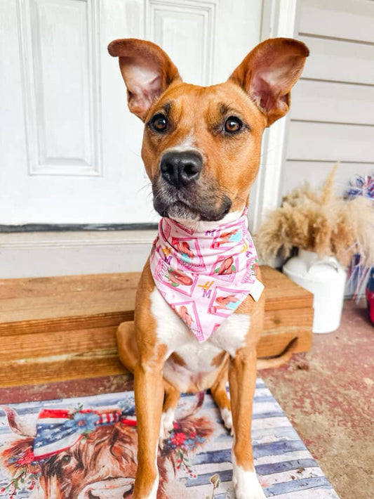 Best of Both Worlds Bandana