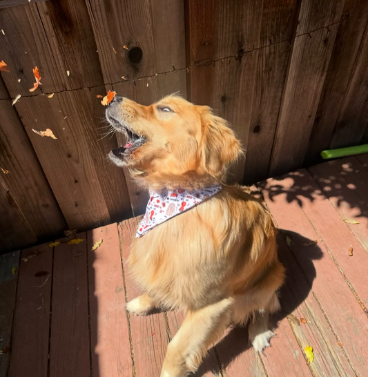 All Too Well Bandana
