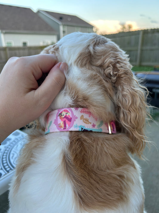 Bayou Besties Collar