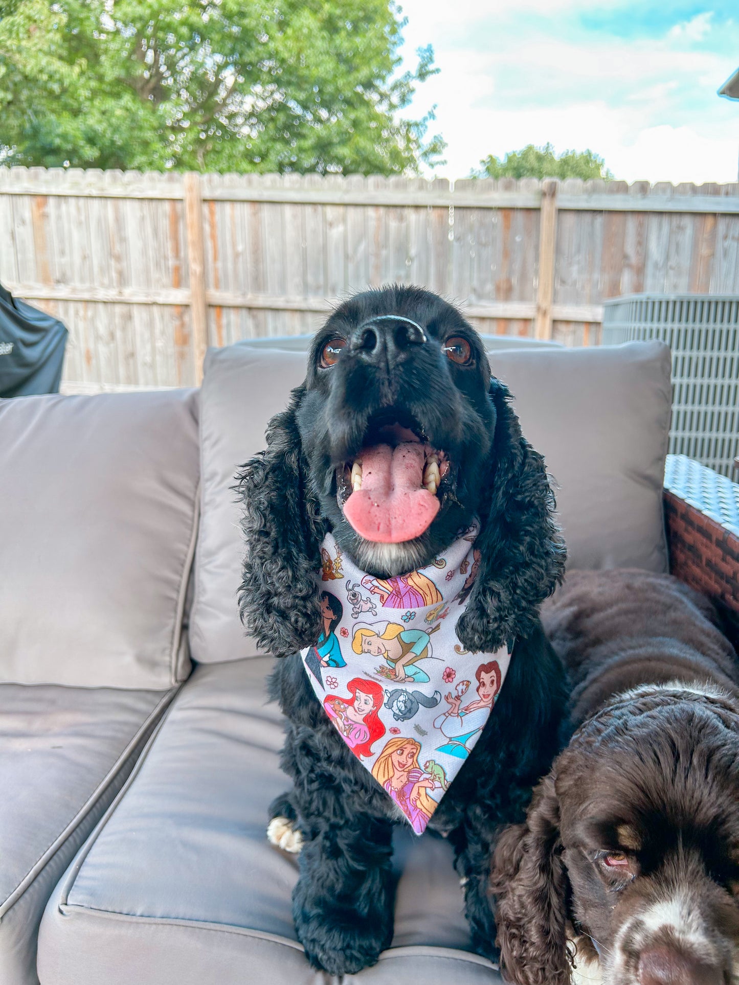 Princesses and Sidekicks Bandana