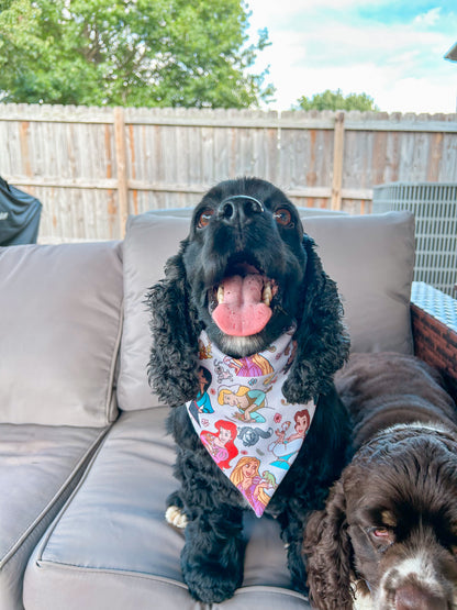 Princesses and Sidekicks Bandana