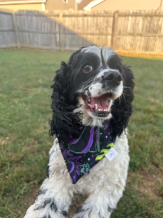 Mistress of Evil Bandana